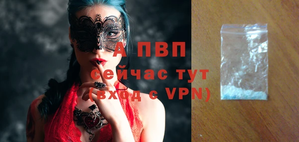 прущие грибы Михайловка
