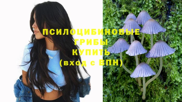 MESCALINE Богданович