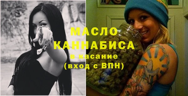 2c-b Бородино
